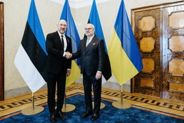 Presidente de Estonia: Ucrania tiene derecho a atacar la infraestructura de Rusia