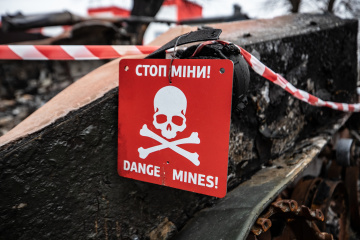 Almost quarter of Ukraine’s territory mine-contaminated - minister