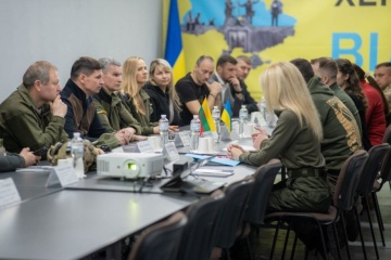 Lithuanian delegation visits Kherson