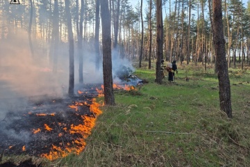 Russian shelling caused forest fires in Kharkiv region