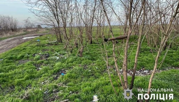 На Миколаївщині вибухотехніки знищили ворожу гранату, яка висіла на гілці