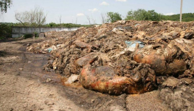 Підприємство забруднило тушами тварин понад 1,3 гектара земель на Київщині