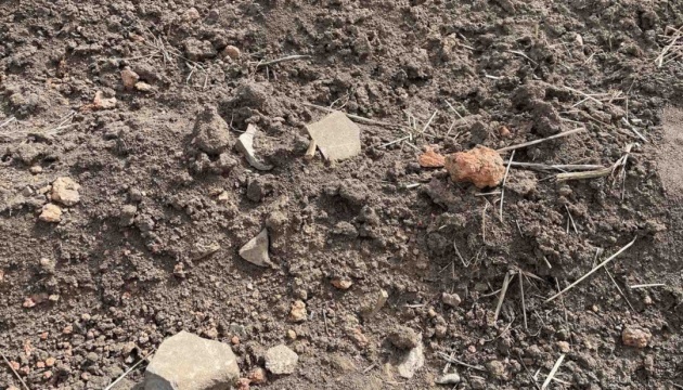 На Тернопільщині археологи виявили нові артефакти трипільської культури