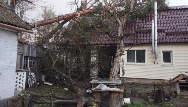 На Київщини стихія пошкодила дахи будинків та повалила дерева - відключені 42 ЛЕП