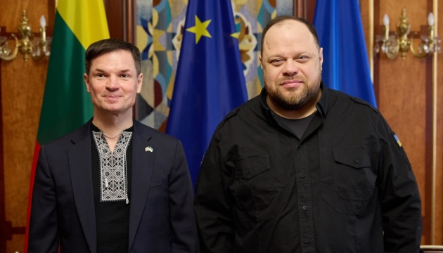 Стефанчук обговорив із віцеспікером Сеймасу Литви спільне з Україною виробництво зброї
