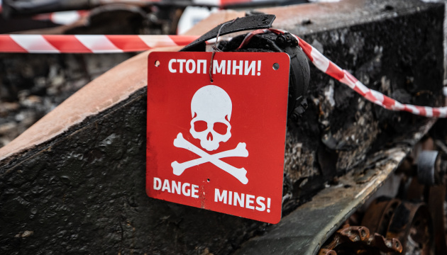 Almost quarter of Ukraine’s territory mine-contaminated - minister