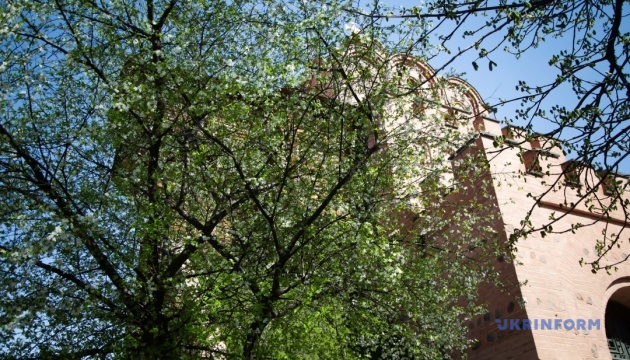 У п’ятницю буде прохолодно: вдень до +16°, вночі прогнозують заморозки