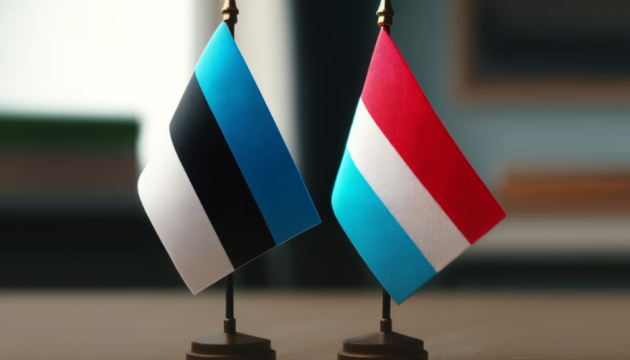 Естонія та Люксембург ще зробили внески в ІТ-коаліцію - Міноборони