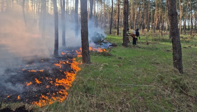 На Харківщині через російські обстріли сталися лісові пожежі