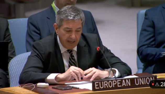 Russia fully responsible for risks at ZNPP it is causing – EU at UN Security Council 

