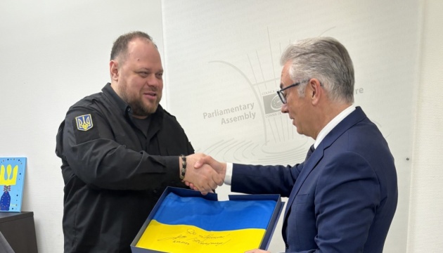 Президент ПАРЄ та Стефанчук обговорили підтримку України
