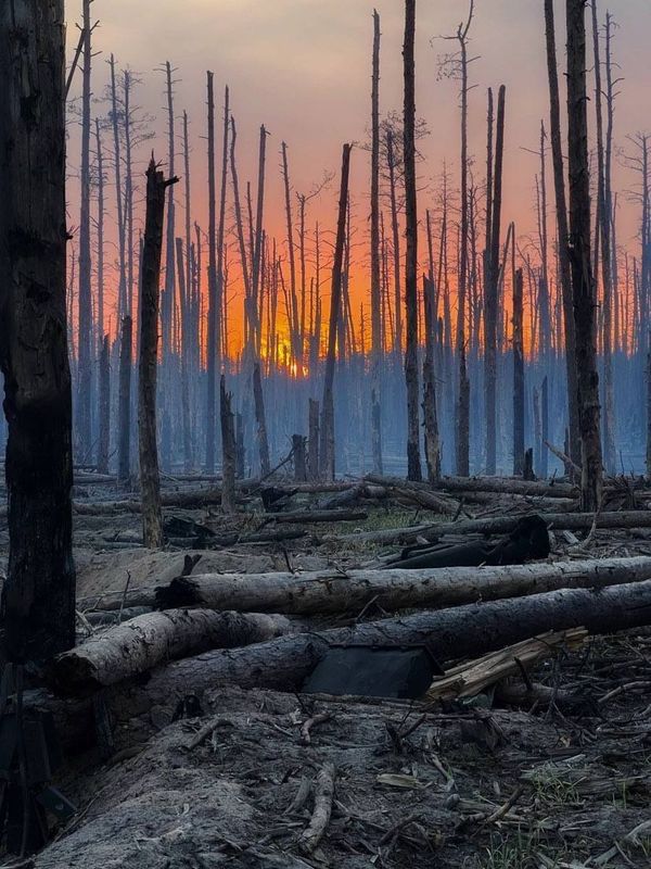 Фото: Денис Зелений