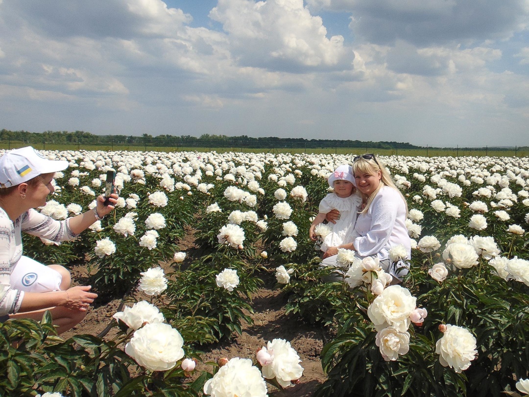 Чернівці. Фото: Віталій Олійник, Укрінформ