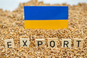 Ukraina wyeksportowała już ponad 41 milionów ton zbóż i roślin strączkowych