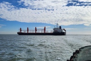 Експорт морським коридором України сягнув 45 мільйонів тонн