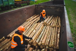 «Ліси України» передали на фронт майже 200 тисяч кубометрів деревини