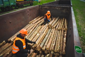 «Ліси України» передали на фронт майже 200 тисяч кубометрів деревини