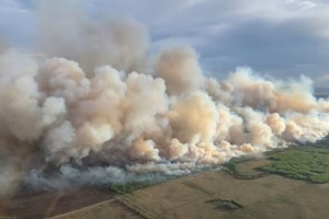 У Канаді лісові пожежі охопили 10 тисяч гектарів