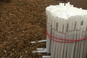 У чотирьох виробників сигарет одночасно проводять 24 обшуки