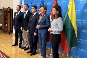 Глави МЗС країн Балтії та Ісландії прибули до Грузії підтримати президентку й громадськість