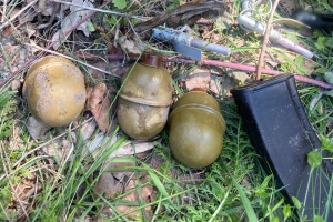 У Києві в лісі знайшли пакет із гранатами й набоями для автомата