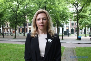 Боровець: Нідерланди дуже активно допомагають Україні встояти проти ворога