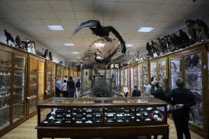 Львівські музеї за три дні прийняли понад 13 тисяч відвідувачів