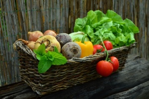 Миколаївські аграрії нарощують виробництво овочів та налагоджують їх експорт