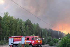У Вишгородському районі на Київщині локалізували пожежу в екосистемі