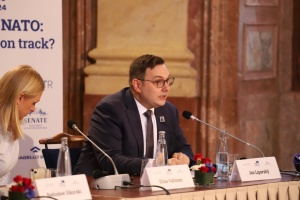 Глава МЗС Чехії: Україна повинна мати можливість захищатися за допомогою ударів по Росії
