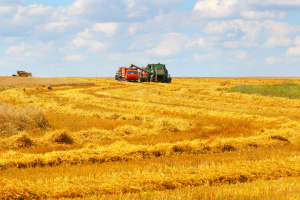 I.P.Cert та Regrow оголошує про співпрацю задля розширення регенеративного землеробства в Україні