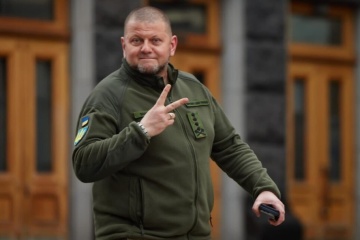 Zelensky dismisses Zaluzhnyi from military service