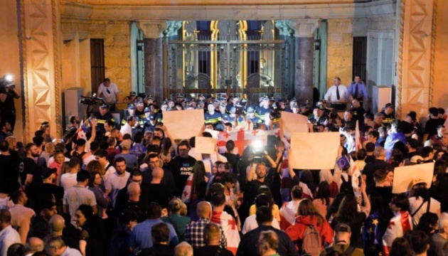 У ЄС засудили насильство проти мітингувальників у Грузії