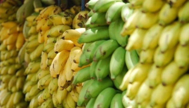 EastFruit: Los precios de los plátanos en Ucrania alcanzan niveles récord debido a los bloqueos portuarios