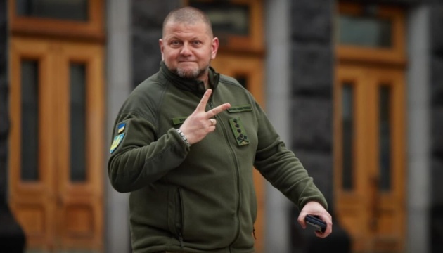 Zelensky dismisses Zaluzhnyi from military service