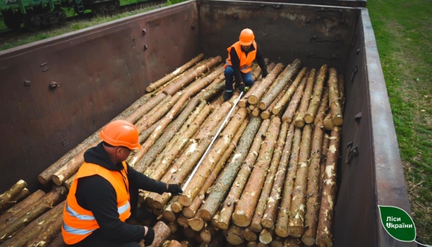 «Ліси України» передали на фронт майже 200 тисяч кубометрів деревини