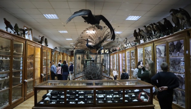 Львівські музеї за три дні прийняли понад 13 тисяч відвідувачів