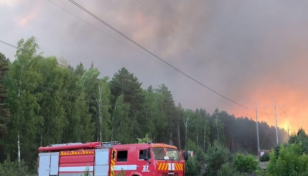 У Вишгородському районі на Київщині локалізували пожежу в екосистемі