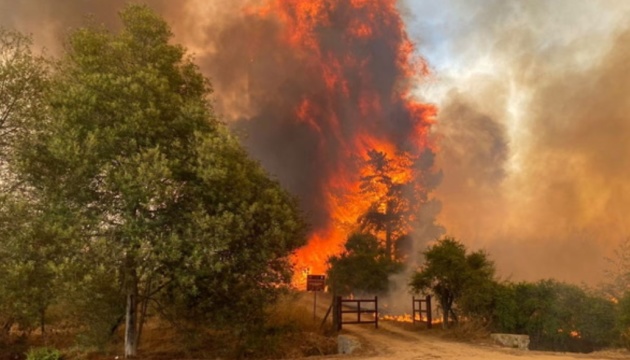 У Чилі затримали підозрюваних у підпалі лісу, через який загинули понад 100 людей