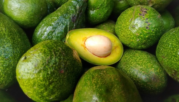 У Мексиці озброєні грабіжники вкрали 40 тонн авокадо
