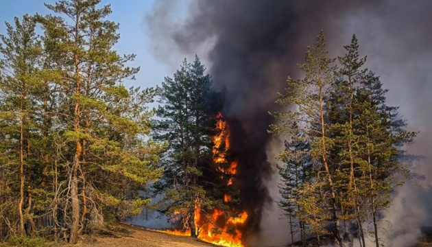 На Харківщині через обстріли зайнялися 18 лісових пожеж