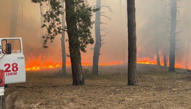 На Харківщині через російські обстріли горять 3000 гектарів лісу