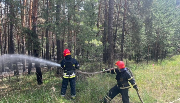 Ukraine : 3 700 hectares de forêt dans la région de Kharkiv brûlent à cause des bombardements russes 