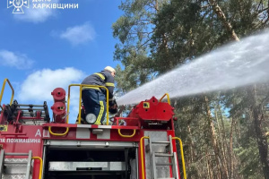 Лісові пожежі на Харківщині: рятувальники загасили 2 300 гектарів займань