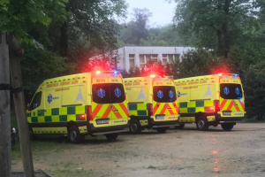 У Чехії блискавка ударила в дерево і поранила 18 людей