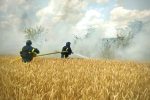 Херсонські пожежники врятували 27 гектарів поля пшениці, яке загорілося від ворожого обстрілу