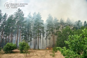 Рятувальники локалізували масштабну лісову пожежу на Харківщині