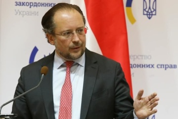 Hope for progress: Austria’s foreign minister on Hungary blocking aid to Ukraine