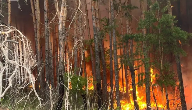 Лісові пожежі на Харківщині спричинили активну детонацію боєприпасів - ОВА