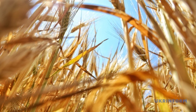 China plans to increase grain imports from Ukraine